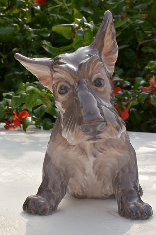 Dahl Jensen Figur # Scotch Terrier 1078