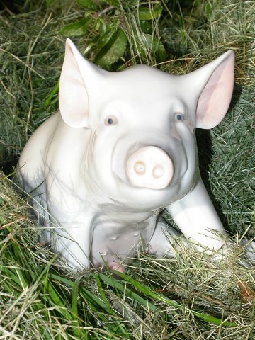 Royal Copenhagen Figurine 414 Pig