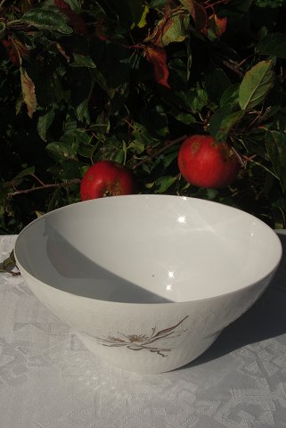 Rosenthal Romanze in Moll 
Bowl