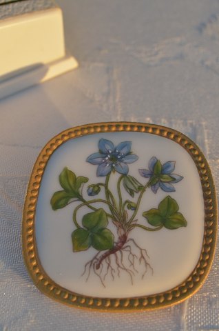 Kongelig Flora Danica Broche blomster motiv forglemmigej