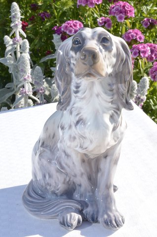 Dahl Jensen figur 1186 Engelsk setter