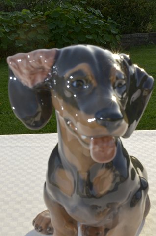 Royal Copenhagen Figur 856 Dachshund