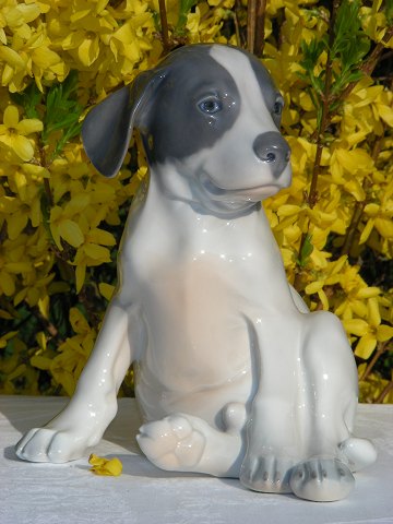 Royal Copenhagen Figurine 259 Pointer puppy