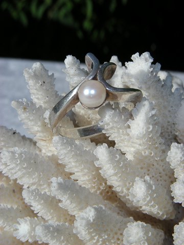 Silver ring with cultured pearl