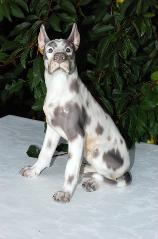 Dahl Jensen figurine 1111
Great Dane