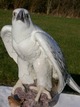 Bing & Grondahl Figurine 1953 Giant falcon