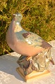 Bing & Grondahl figurine 7038 Pigeon  
